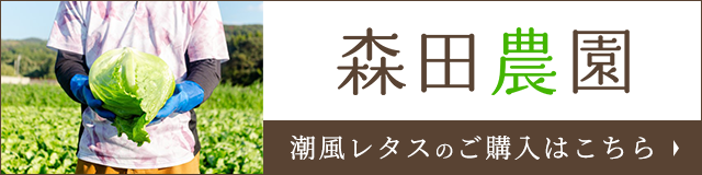 ご購入はこちら